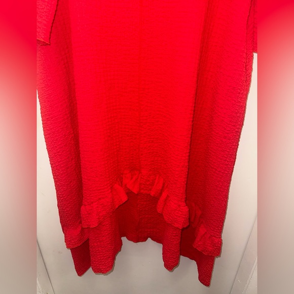 Vibrant Red Textured Dress - Picture 2 of 6